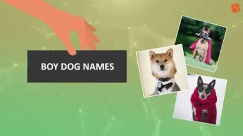Best Dog names for you . unique names#dogname