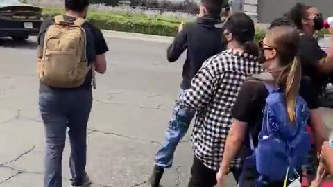 California protestor launches onto pavement after jumping on a fast-moving highway patrol car