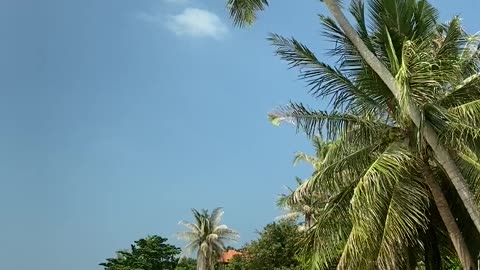 Video of beach, blue sky, clouds, coastal, coastilne