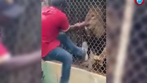THE SAD STORY OF ZOO ATTENDANT