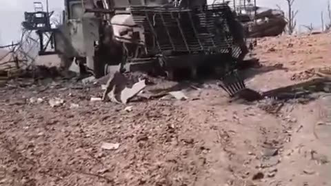 🔥🇷🇺 Ukraine Russia War | Destroyed UAF Vehicles | RCF