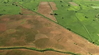 Magical Moors - A Mysterious World Full of Life