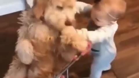 Cute Baby and Cute Dog