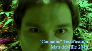 Testification: Cannabis V1