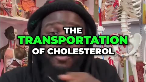 The Cholesterol Myth_ Debunking HDL, LDL, and Lipoprotein