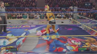 Sally Acorn Vs. Amy Rose In A 30 Minute Iron-Woman Match