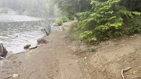 Spectacular Shoreline Hiking of Timothy Lake – Mount Hood – Oregon – 4K