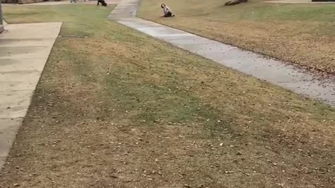 Mom and son sprint race down wet sidewalk, mom faceplants