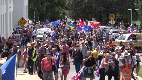 The Mob Descends on Paliament House - Canberra Australia