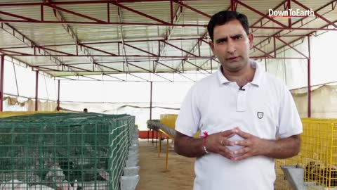 Rabbit farming is an emerging but profitable business