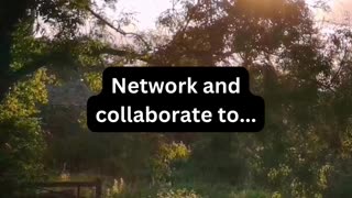 Network and collaborate to