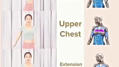 Lift your chest with these easy exercises