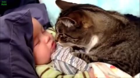 Best Funny Babies and Animals Compilation