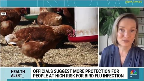CDC: Bird Flu spreading from Livestock to Humans