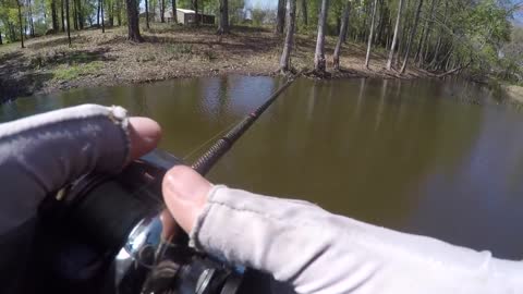 GIANT BASS FOUND in MUDDY CREEK! BED FISHING with JIGS
