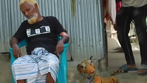 Top Funniest Fake Tiger prank on grandpa