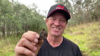 Metal Detecting A Royal Australian Air Force Badge