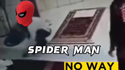 Funny Meme Spiderman