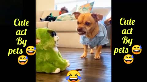 This cute 🥺 Dog is acting 🤣 like a toybear Funny act 🤣🤣