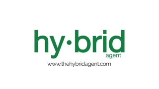 The Hybrid Agent