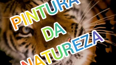 Animais ferozes