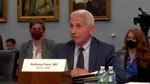 Fauci Forced to Make Big Admission About Lockdowns (VIDEO)