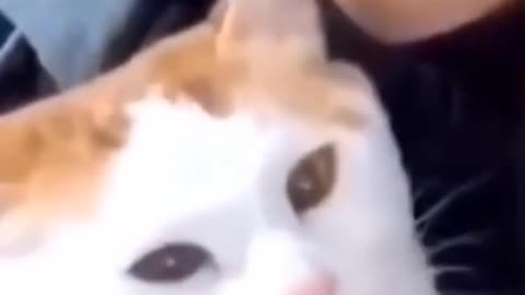 Singing with cat