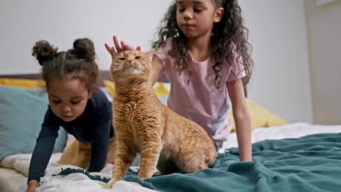 kids vs cat funny video