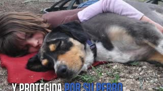 Encuentran a una pequeña de 2 años desaparecida acurrucada y cobijada por su perro