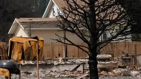 What remains in Jasper after monster wildfire CBC News