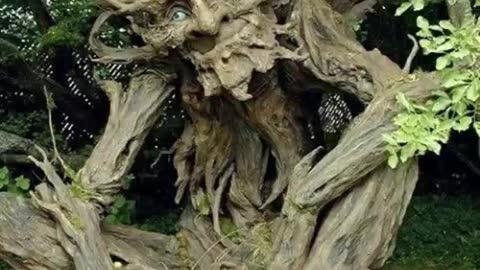 Nature made statue_Extraordinary idol