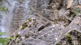 Switzerland Falls, lac noir, Schwarzer