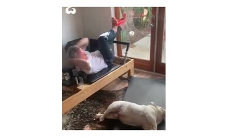 Adorable Bulldog Works-out With His Dad! 💪