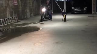 Grandpa Teaches Motorcycle Appreciation to Young Grandson