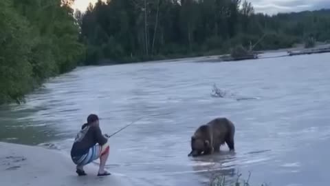 Watch how this Bear snatch the fish from the fishing hook