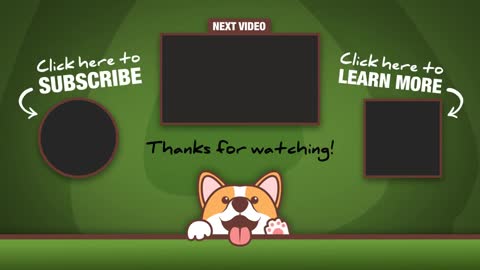 Best videos for dogs