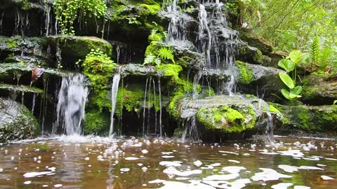 A Water Flowing on Mossy Rocks