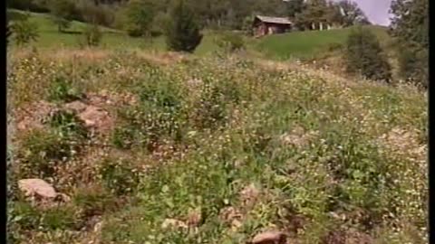 Permaculture Documentary - Farming with terrace and raised beds - Austria
