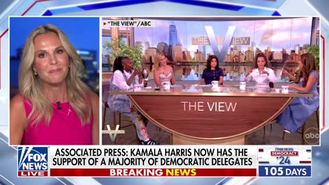 Elisabeth Hasselbeck: The mainstream media is in 'manipulation mode'