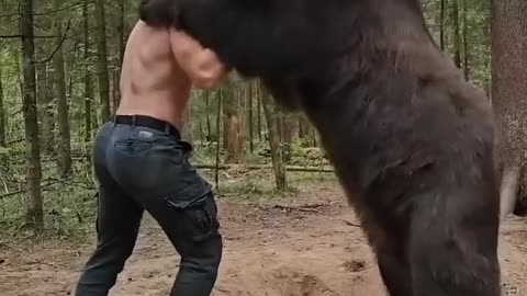 fiting animal/bear with fight a mean oo