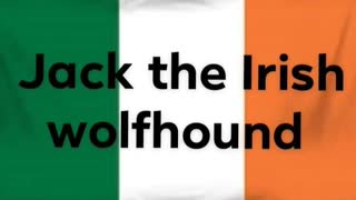 magic trick by. jack the irish wolfhound