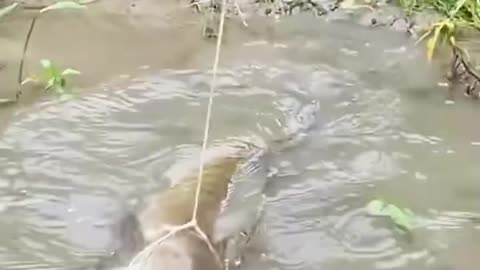 Fishing Done Right!.hd