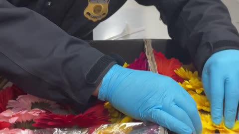 CBP Agriculture Specialists Inspect Valentine's Day Flowers