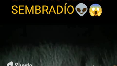 captan extraño ser en sembradio de Australia