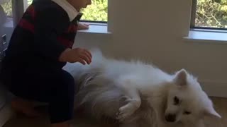 Baby steals dog's favorite spot to relax