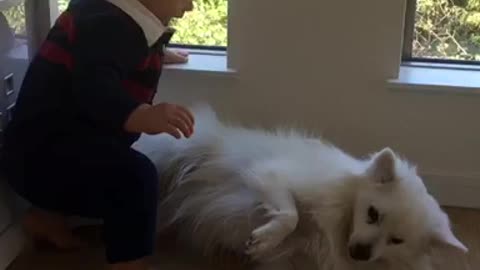 Baby steals dog's favorite spot to relax