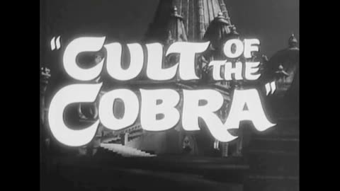 Cult of the Cobra movie trailer