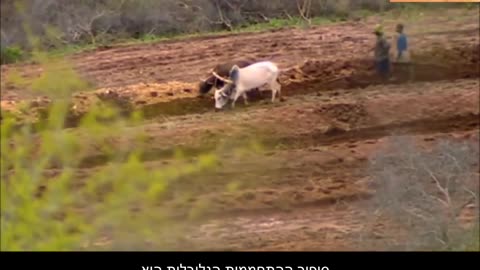 התרמית הגדולה של ההתחממות הגלובלית ומשבר האקלים תקציר מהסרט ואיך קונצנזוס המדענים הוא הונאה 30.07.2024