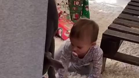 Baby and dog have the cutest fight over a granola bar