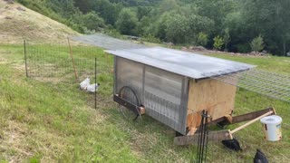 Redneck Chicken Coop, Chickshaw